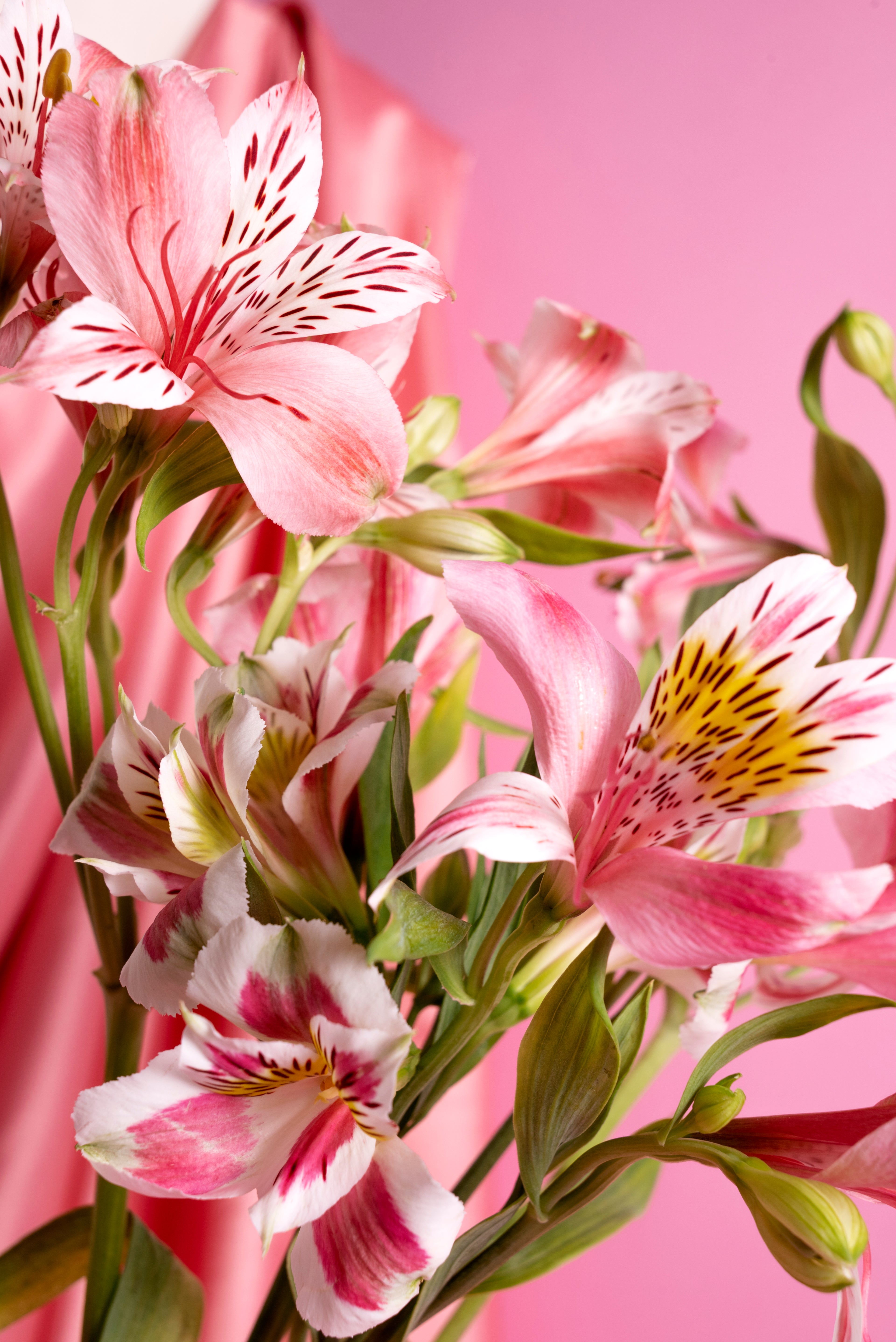Elegant Lily &  Berry Bouquet